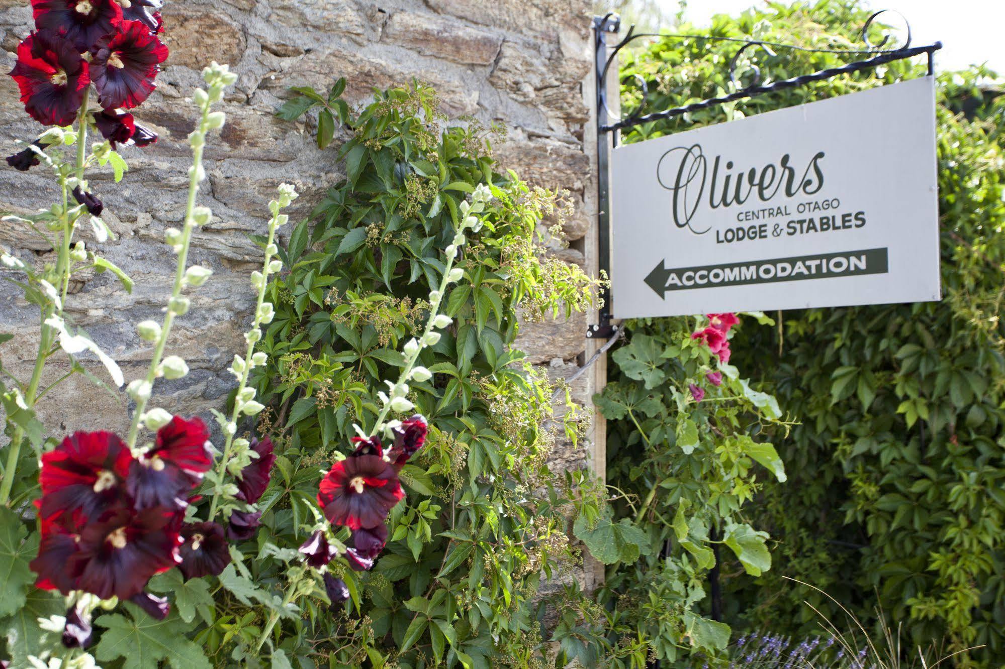 Olivers Central Otago Clyde Kültér fotó